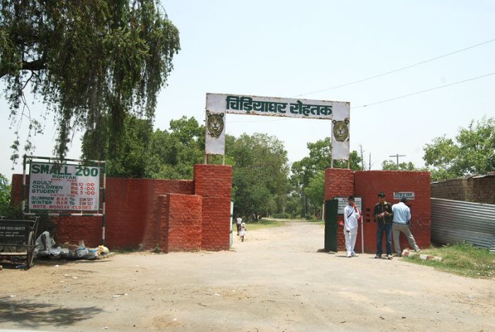 Tilyar Zoo Rohtak Haryana