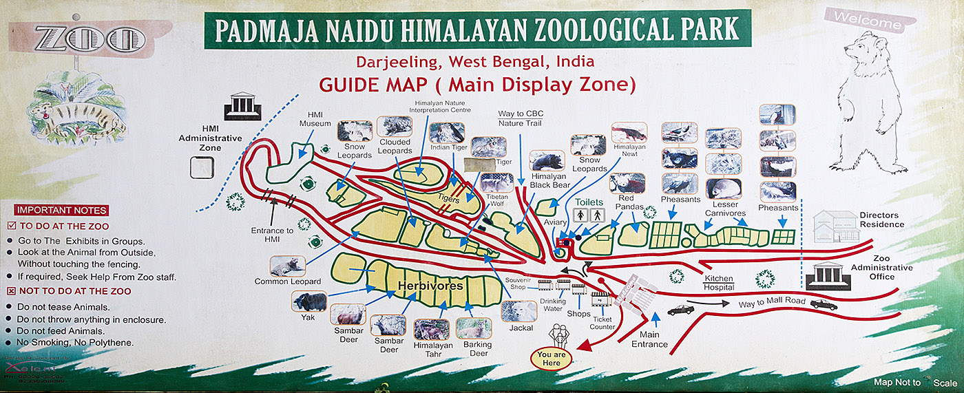 Padmaja Naidu Himalayan Zoological Park Darjeeling – A Treat For The Kids!  | My Journey Through India